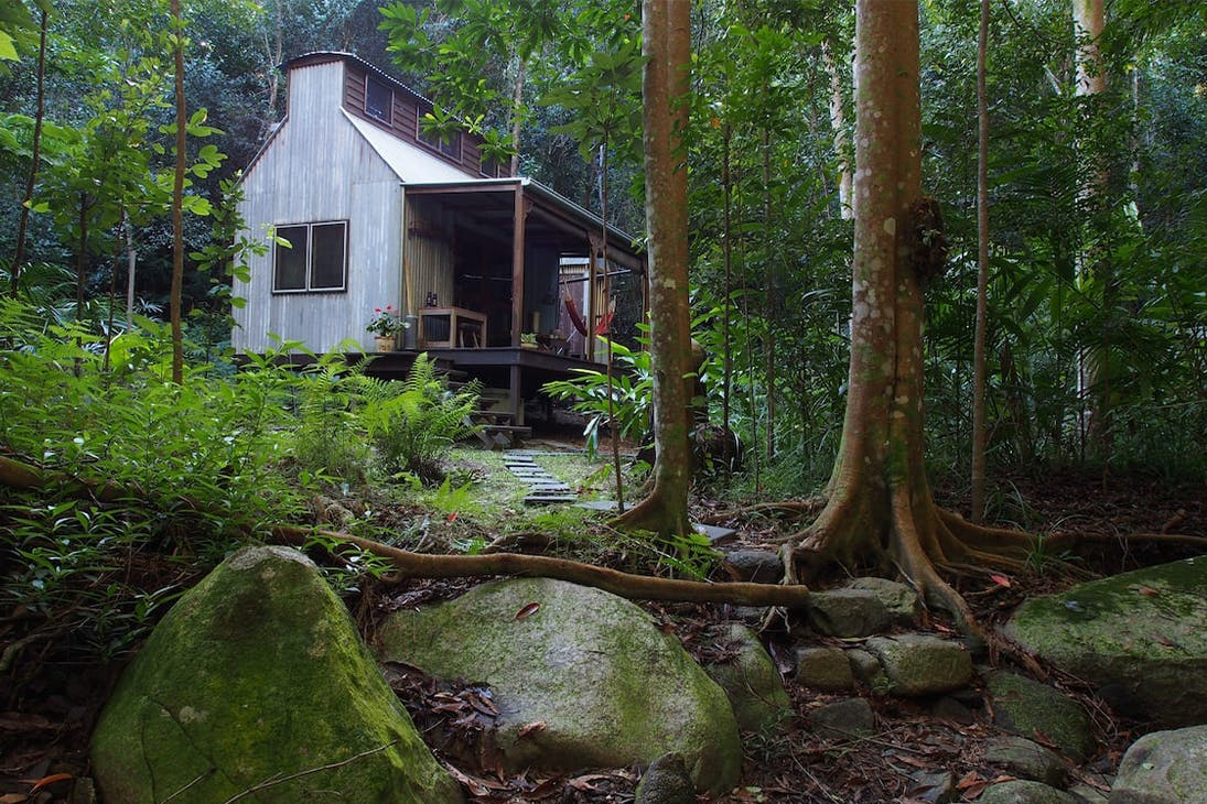 a corrugated iron cabin in a rainforest